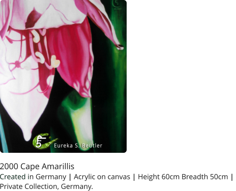 2000 Cape Amarillis  Created in Germany | Acrylic on canvas | Height 60cm Breadth 50cm |  Private Collection, Germany.
