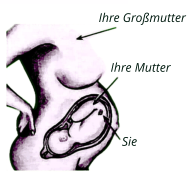 Ihre Großmutter Ihre Mutter  Sie