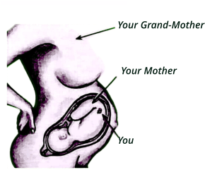 Your Grand-Mother Your Mother You