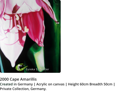 2000 Cape Amarillis  Created in Germany | Acrylic on canvas | Height 60cm Breadth 50cm |  Private Collection, Germany.