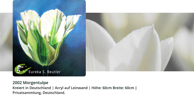 2002 Morgentulpe Kreiert in Deutschland | Acryl auf Leinwand | Höhe: 60cm Breite: 60cm |   Privatsammlung, Deutschland.